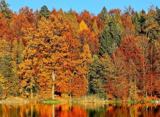 Yin Yoga for the Season of Fall with Stacey